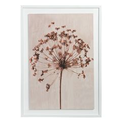 Панно декоративное Plant, с белой рамой, 50х70 см, Bergenson Bjorn