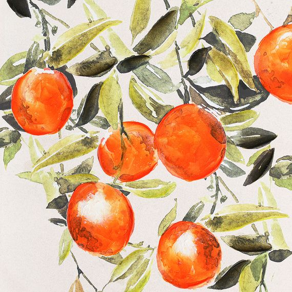 Панно декоративное Juicy orange, 70х100 см, Bergenson Bjorn, изображение 3