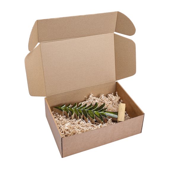 Декор новогодний Fairy tree из коллекции New Year Essential, 30 см, Tkano, изображение 5